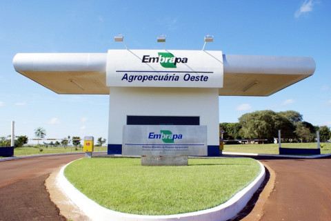 Foto: Embrapa- CPAO
