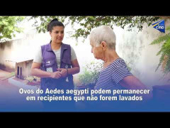 Ovos do Aedes aegypti podem permanecer em recipientes que não forem lavados